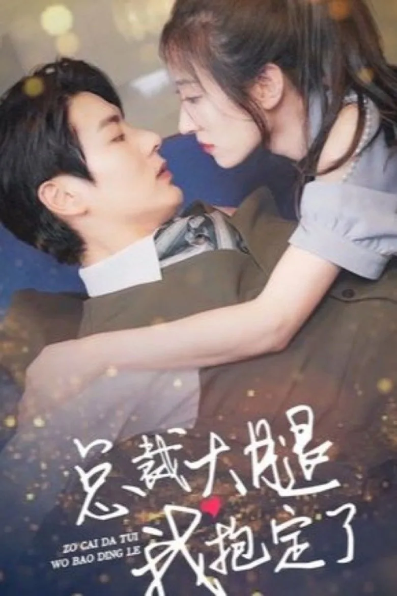 总裁大腿我抱定了 poster