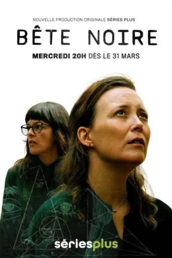 Póster de Bête noire