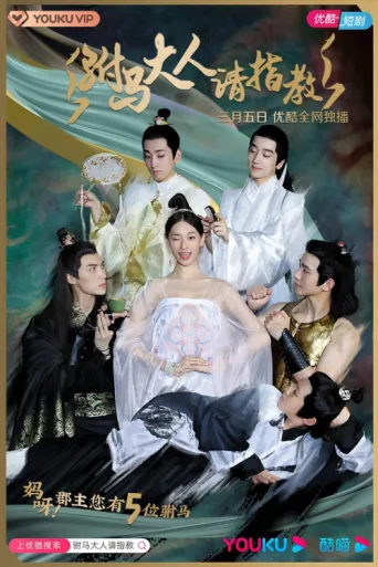 Póster de Princess! You have Five Husbands!