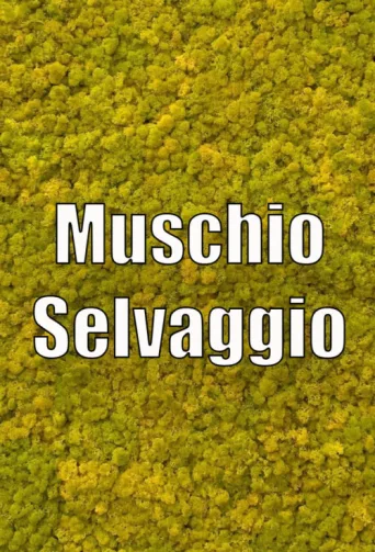 ملصق Muschio Selvaggio