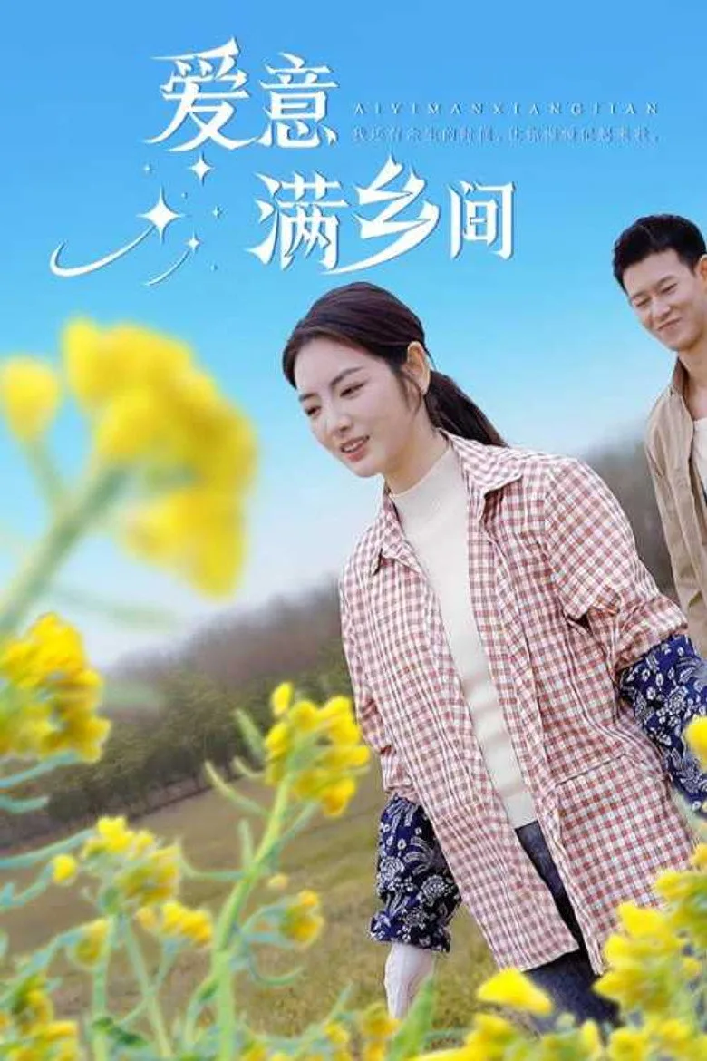 爱意满乡间 poster