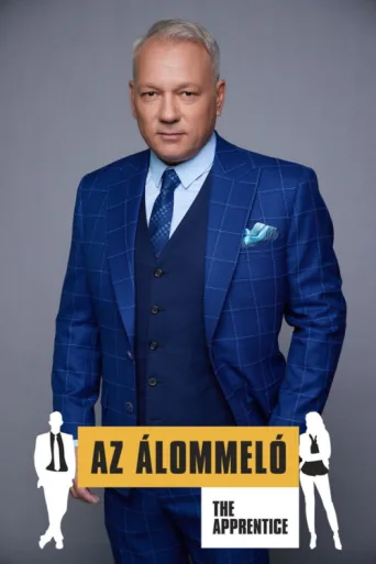 Az álommeló afişi
