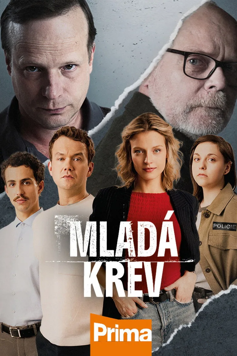 Credit poster