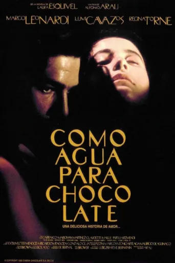 Poster for Acı Çikolata