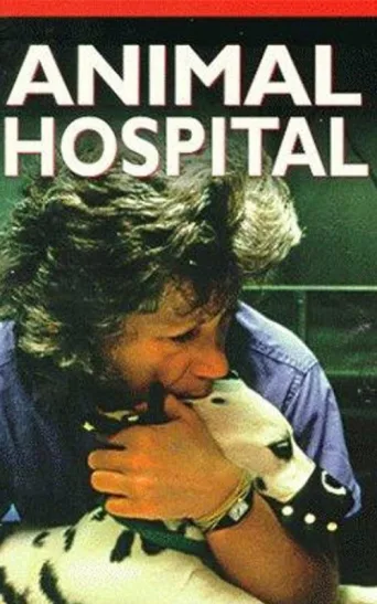 Постер Animal Hospital