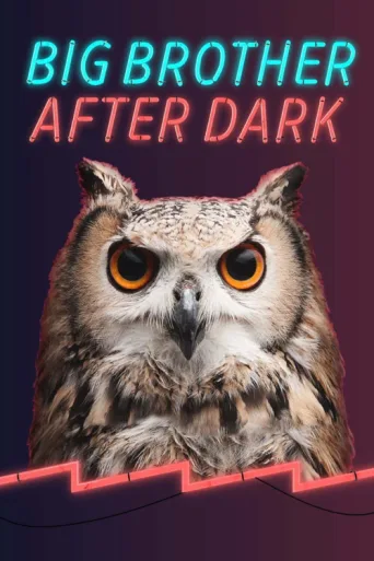Big Brother: After Dark afişi