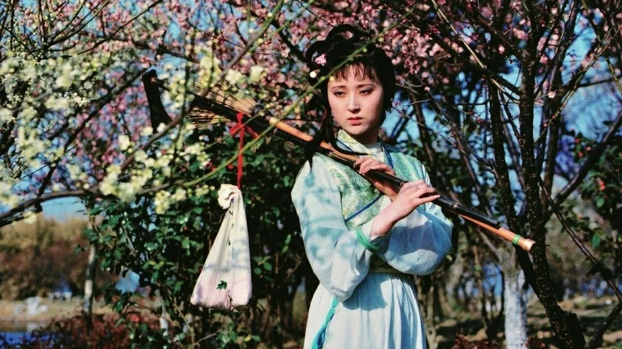 红楼梦