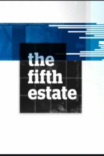 Постер The Fifth Estate