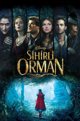 Poster for Sihirli Orman