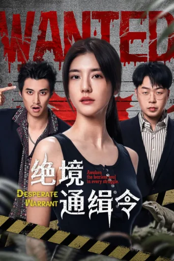 Póster de Desperate Warrant