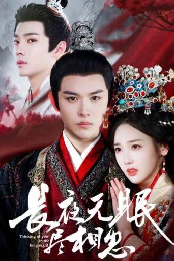 长夜无眠尽相思 afişi
