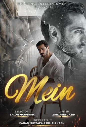Постер Mein