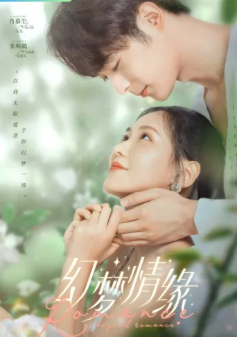 Poster for Romance Beyond Romance