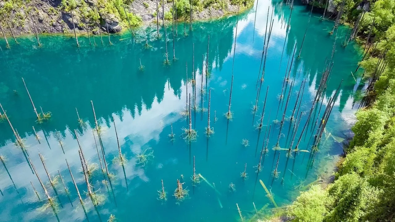 Фоновое изображение для Merveilles de la nature