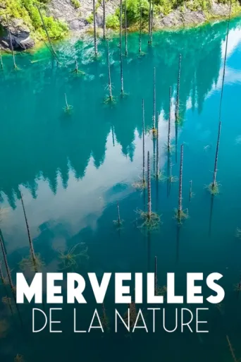 Постер Merveilles de la nature