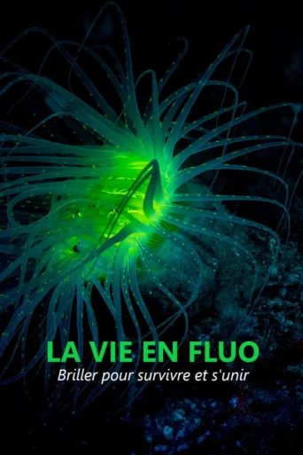 Постер La vie en fluo
