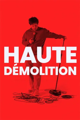 Póster de Haute démolition