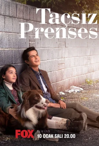 Poster for Taçsız Prenses