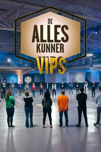 Póster de De Alleskunner VIPS