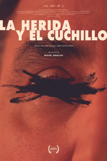 Постер La herida y el cuchillo (Notas para un film sobre García Wehbi)