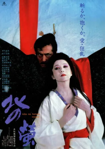 Poster for Fireflies in the North