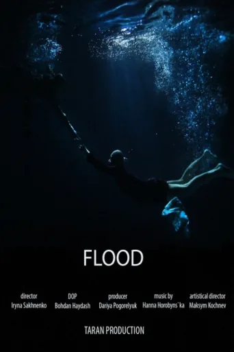 Póster de Flood
