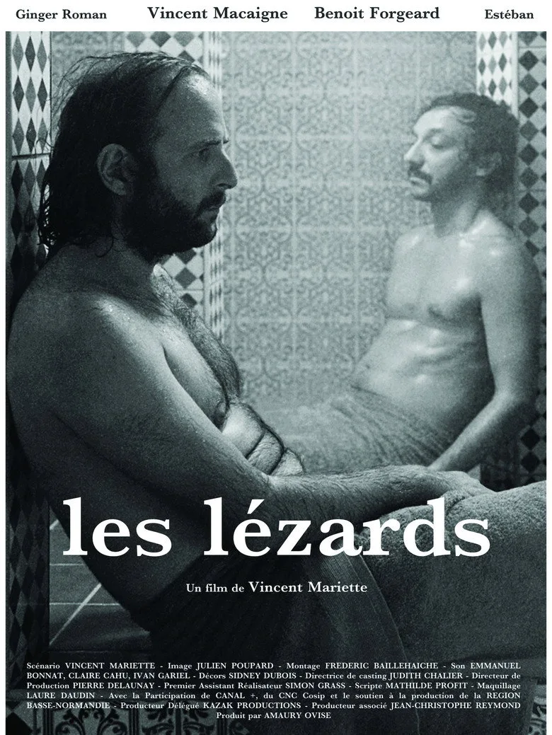 Les lézards poster