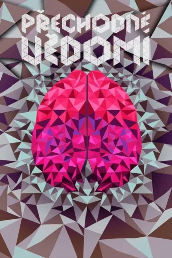 Póster de Přechodné vědomí