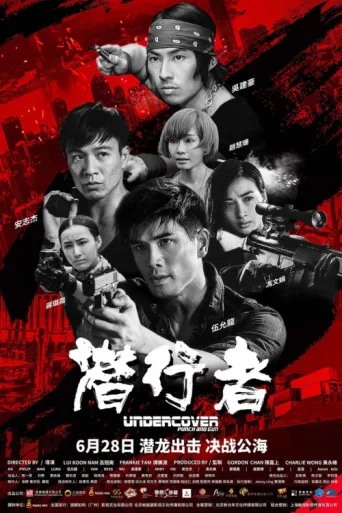 Póster de Undercover Punch and Gun