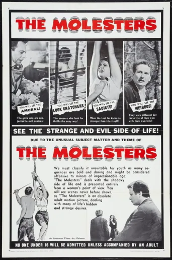 Poster for Der Sittlichkeitsverbrecher