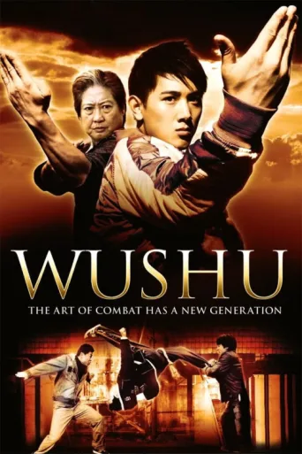 ملصق Wushu