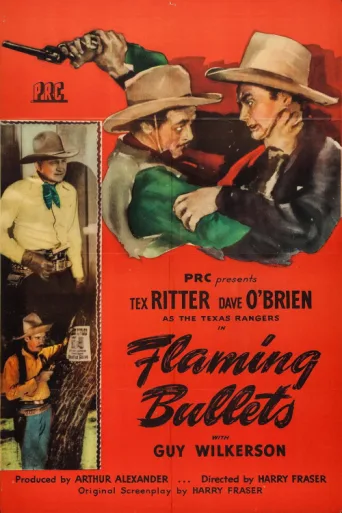 ملصق Flaming Bullets