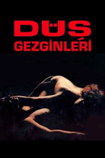 Póster de Düş Gezginleri