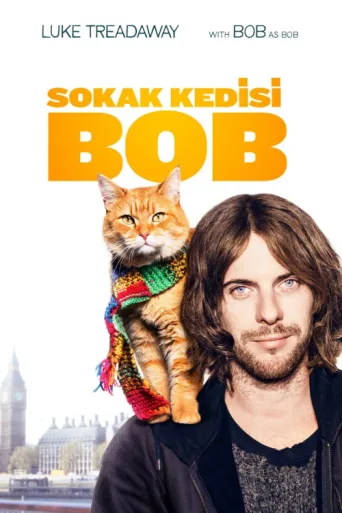 Poster for Sokak Kedisi Bob