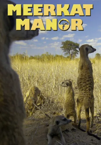 Póster de Meerkat Manor