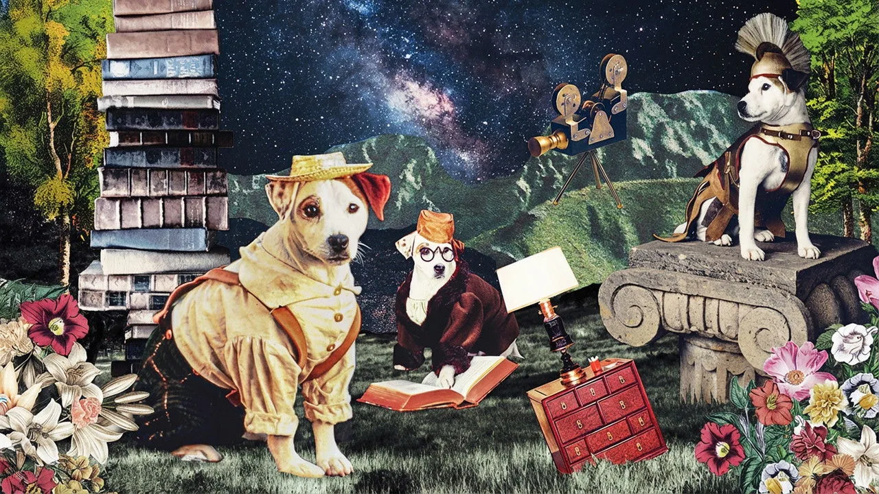 Wishbone için arka plan görseli