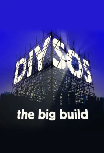Постер DIY SOS