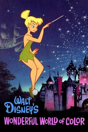Póster de The Wonderful World of Disney