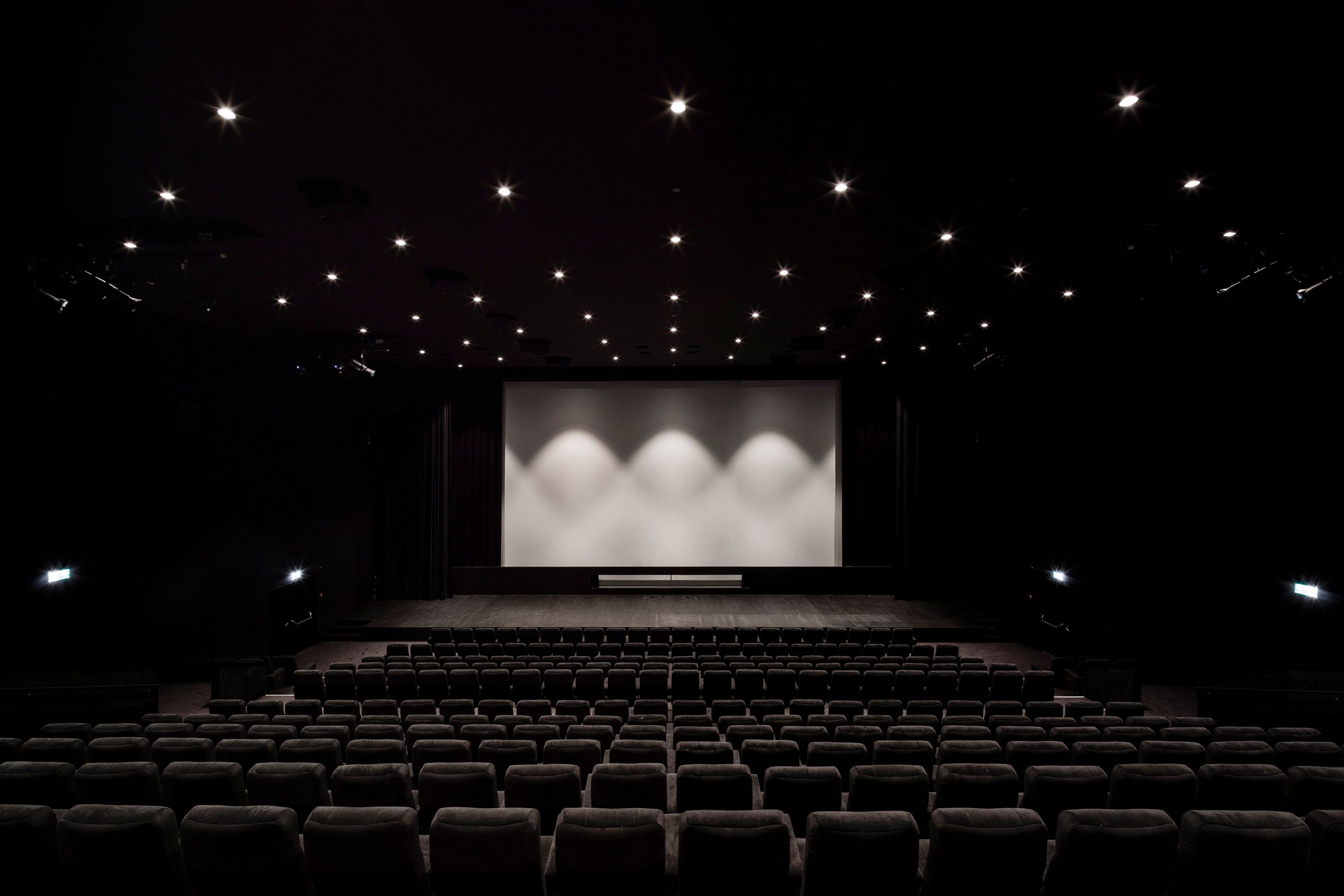 من الذي يختار الأفلام الآن: الجمهور أم الخوارزمية؟ صناعة السينما تجتمع في لوكارنو