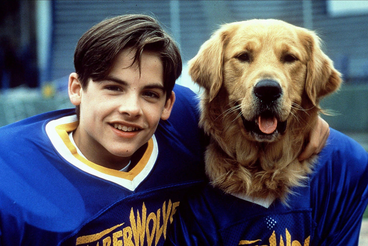 Air Bud 29 yıl sonra yeniden sinemalara dönüyor