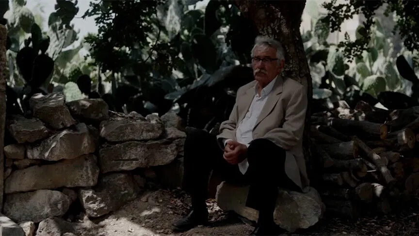 Türkiye’nin 2027 Oscar adayı Kesilmiş Bir Ağaç Gibi filmi oldu